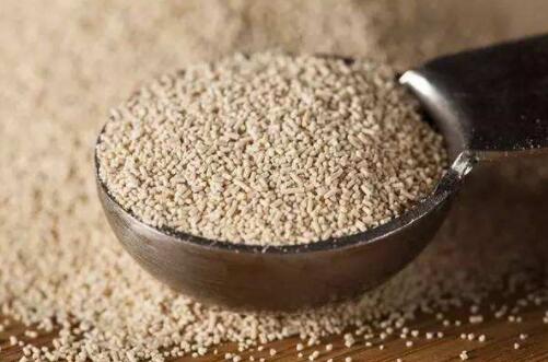 精釀啤酒原料 精釀啤酒原料